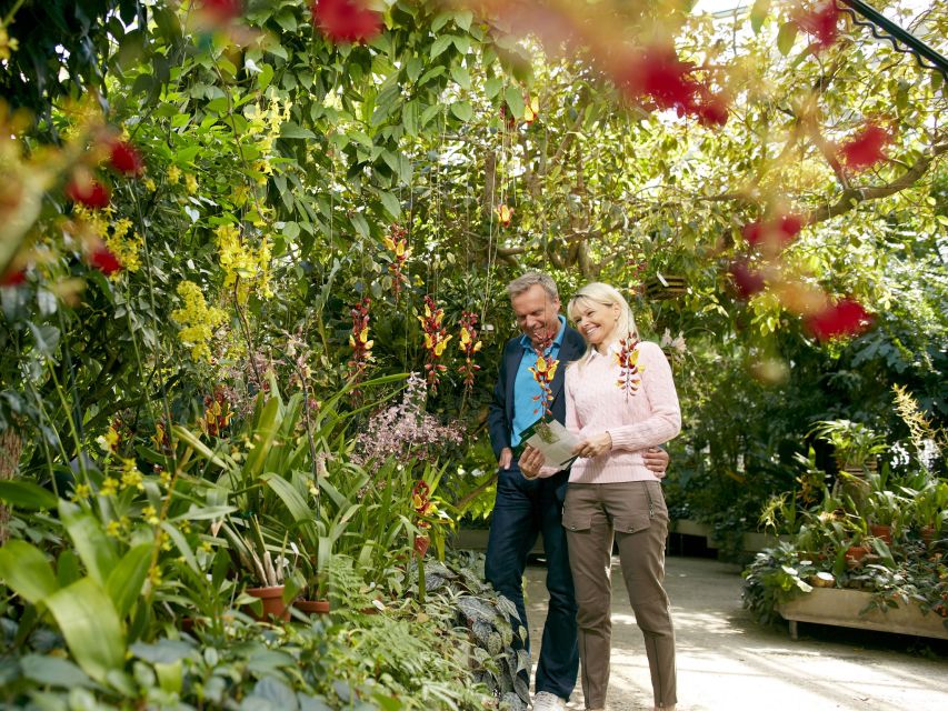 Hannover: Guided Tour of the Berggarten - Cacti and Succulents