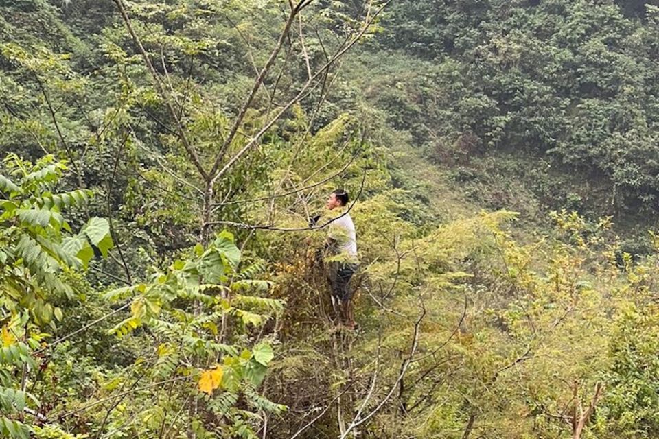 Hanoi: Ban Gioc Waterfall to Hidden Village Trekking Tour - Included Services