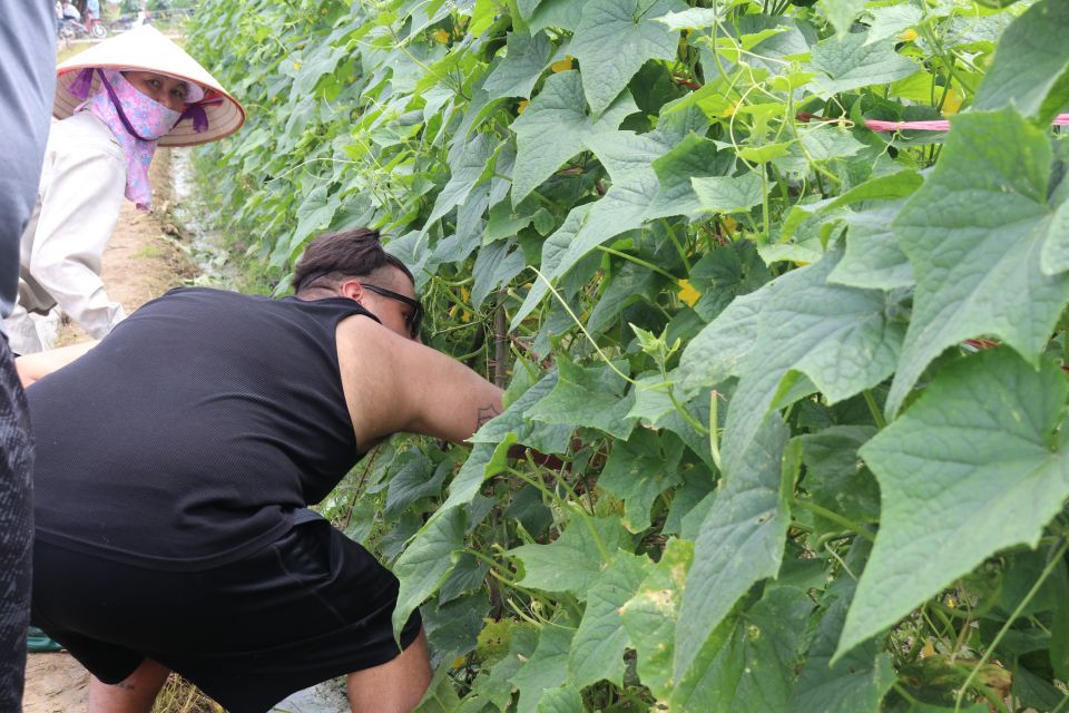 Hanoi: Village Farm Tour and Cooking Class With Lunch - Important Information