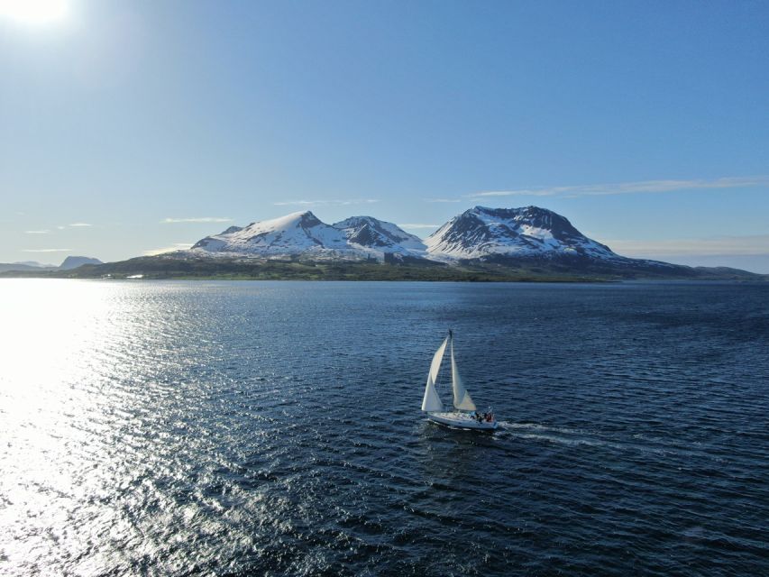 Harstad: Fjord Cruise Sailing With Skipper - Customer Experience and Reviews