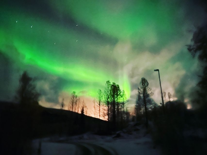 Harstad/Narvik/Tjeldsund: Northern Lights Sightseeing by Car - Customer Reviews