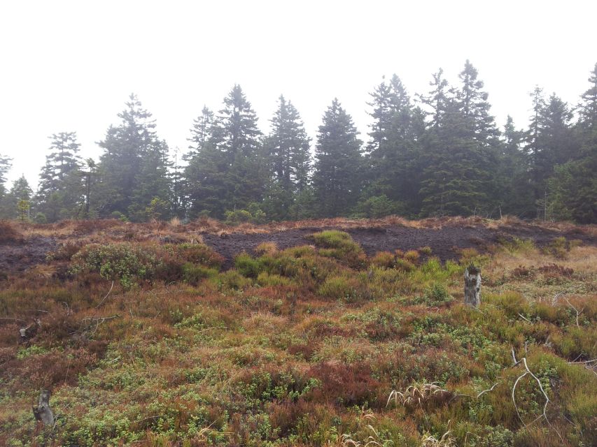 Harz Mountains Day Trip - Local Legends and Myths