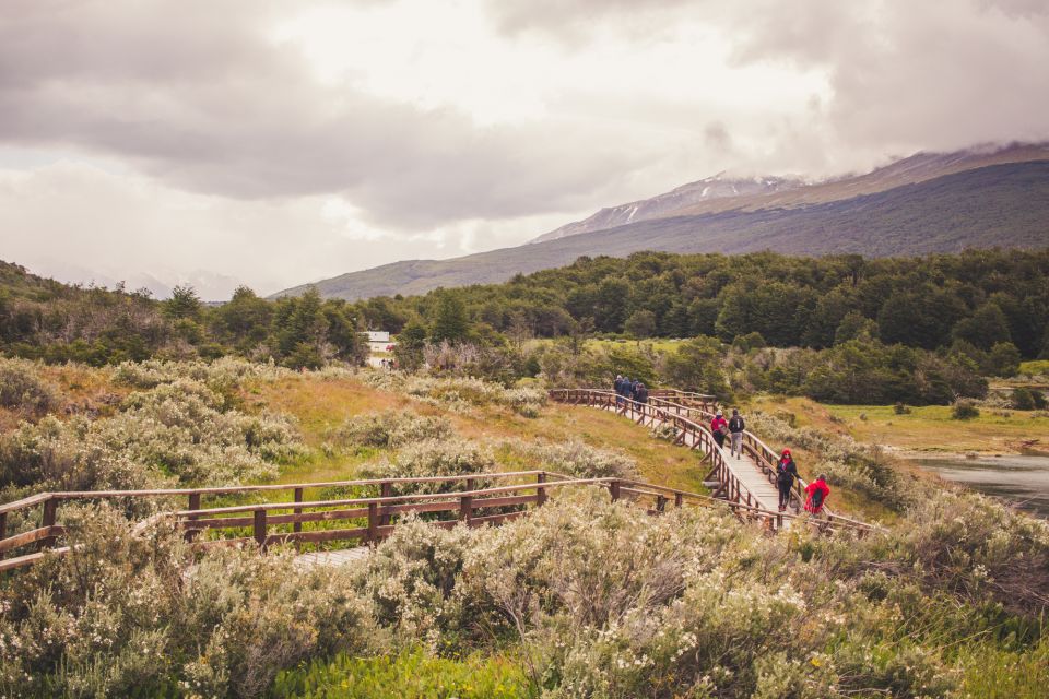 HD Tierra Del Fuego National Park (No Train) - Customer Feedback