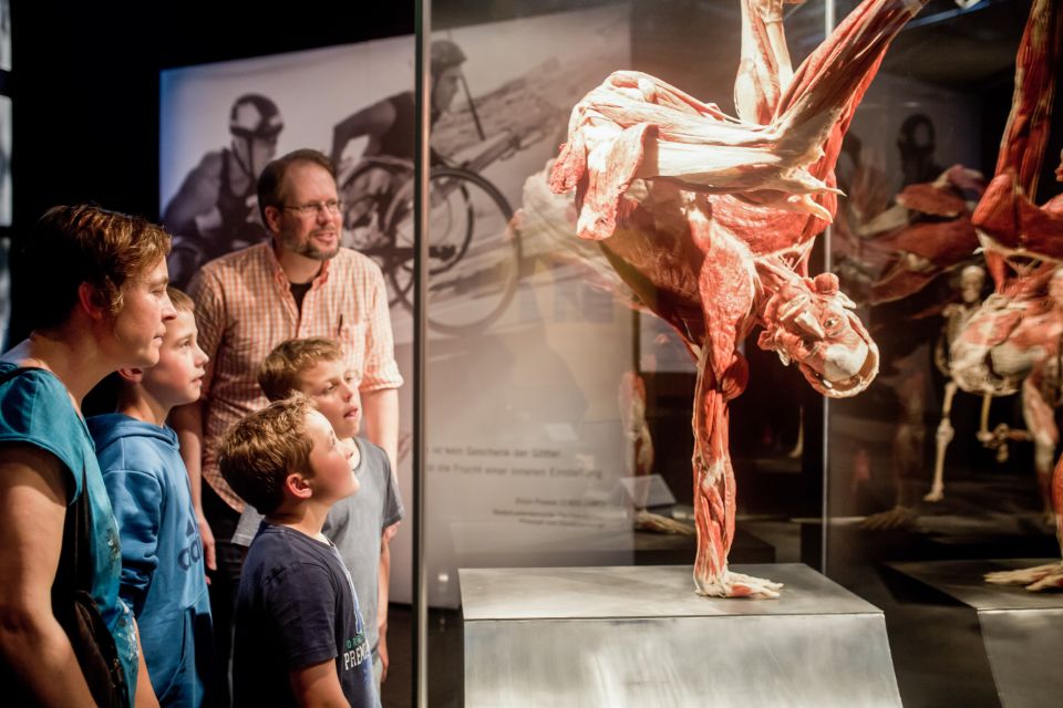 Heidelberg: BODY WORLDS Museum Entrance Ticket - Tips for Your Visit