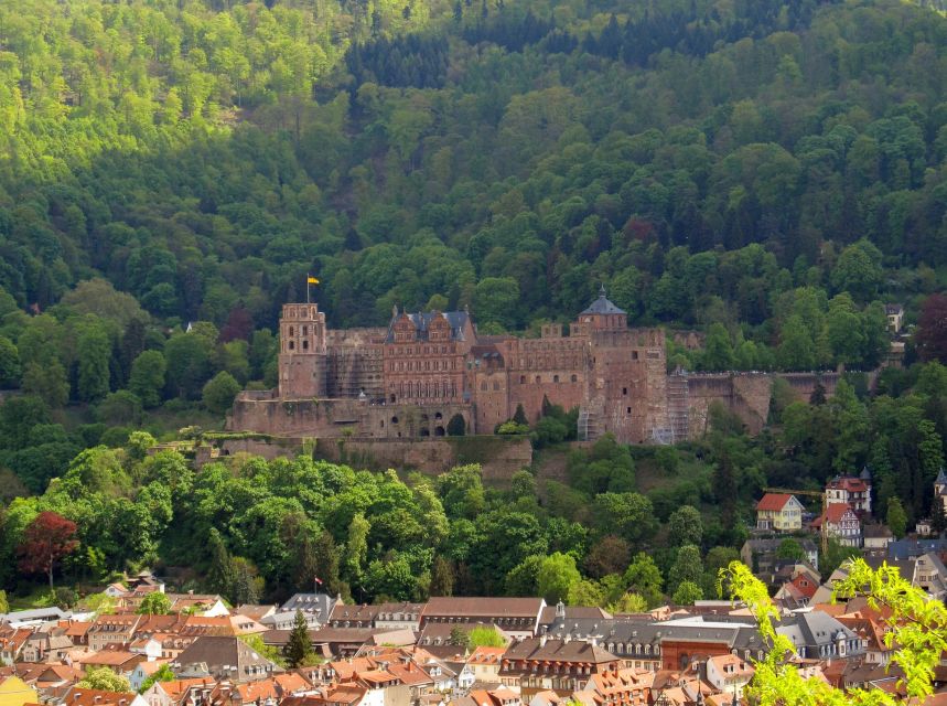 Heidelberg - Old Town Tour Including Castle Visit - Meeting Point and Reviews