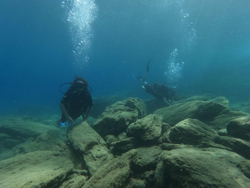 Heraklion: Afternoon Private Scuba Dive (Beginners) - Health and Safety Guidelines