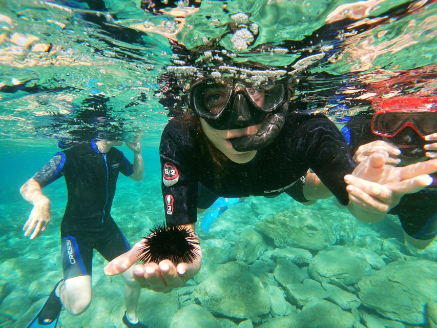 Heraklion: Beginner-Friendly Snorkeling Trip - Meeting Point