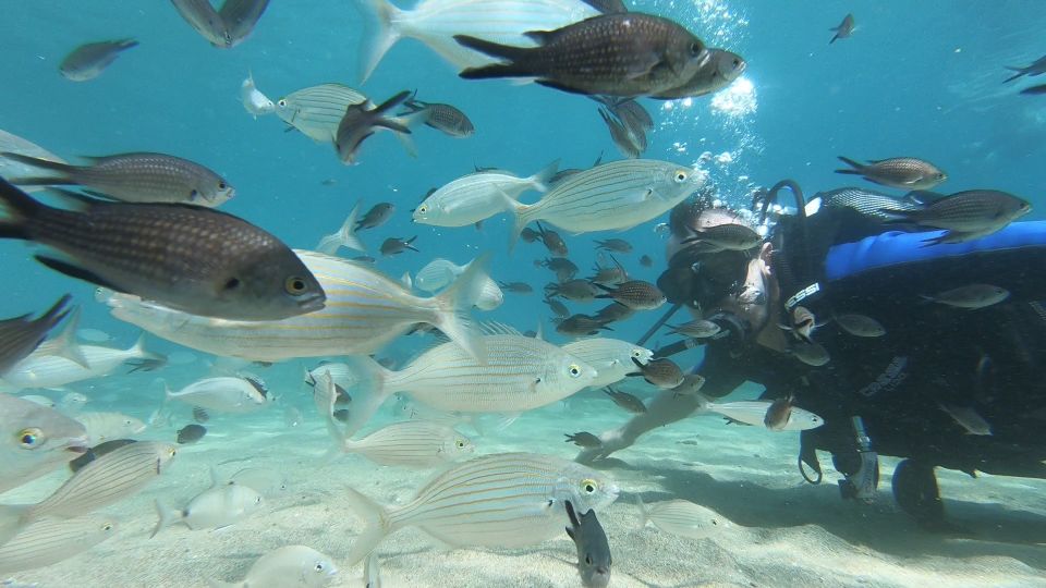 Heraklion: Beginner Scuba Diving Lesson With PADI Instructor - Camera Footage Purchase