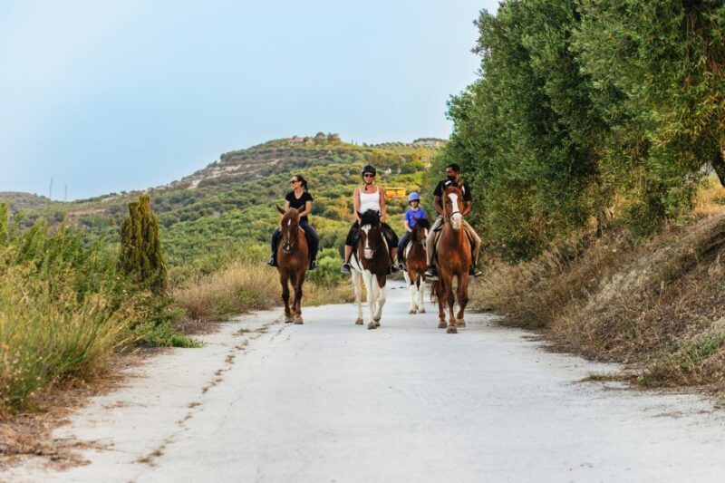 Heraklion: Horse Ride in the Cretan Mountains - Horse Quality