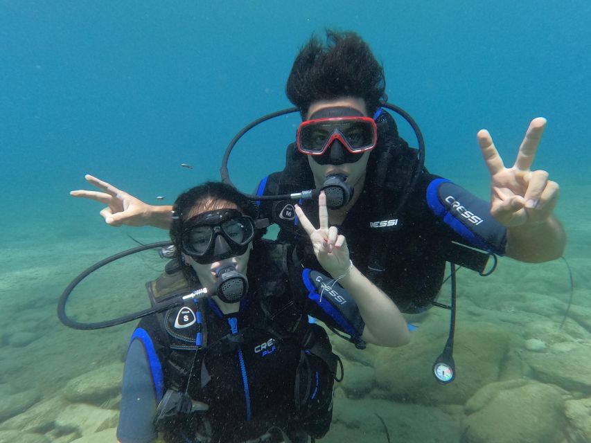 Heraklion: Scuba Diving Experience for Beginners - Customer Reviews and Feedback