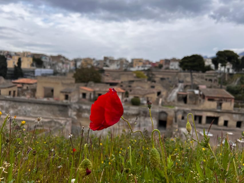 Herculaneum: Discover the Archeological Site With Me! - Booking Details