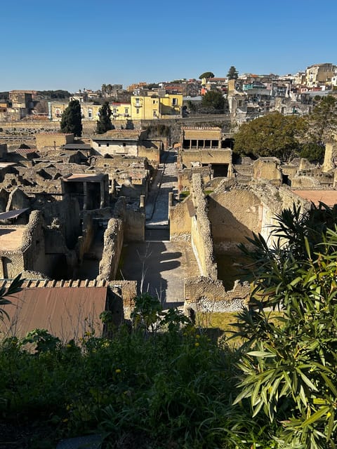 Herculaneum Private Tour (Skip-The-Line Admission Included) - Accessibility Features