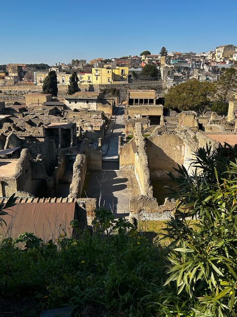Herculaneum - Small Group Tour - Customer Feedback