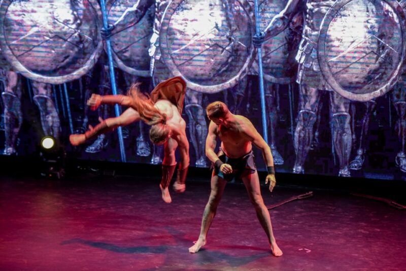 Hersonissos: Troy Dinner-Show Theatre Experience Tickets - Accessibility and Pickup Services