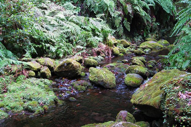 Hidden Corners: Levada Walk From Funchal - Levada History and Construction