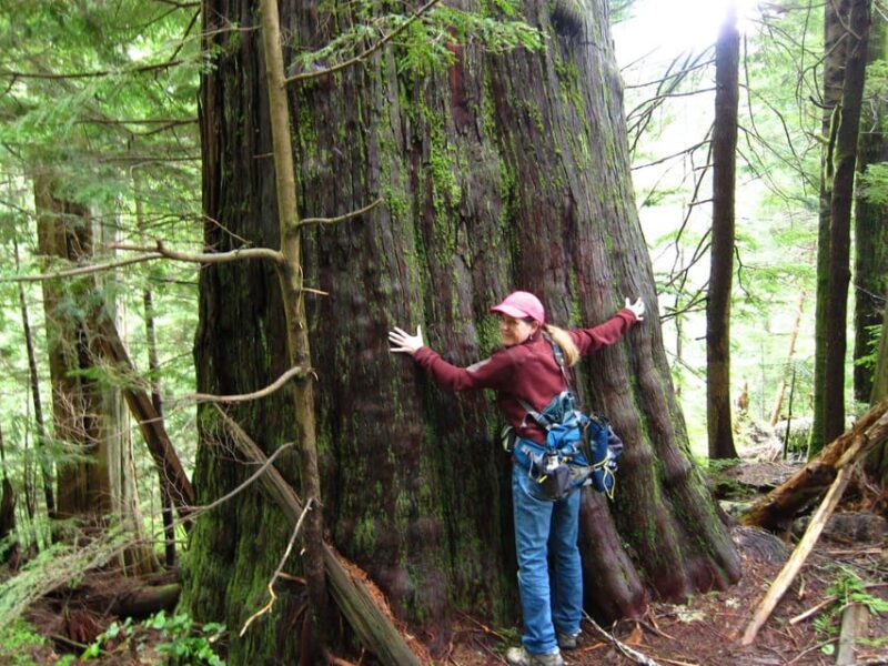 High Impact Nature Hiking at Hethere Lake From Seattle - Safety Considerations