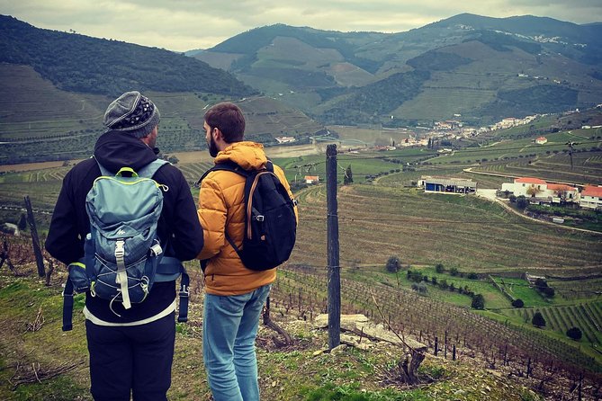 HIKE at DOURO VALLEY W/ Winery Visit and Tasting - Participant Feedback and Recommendations