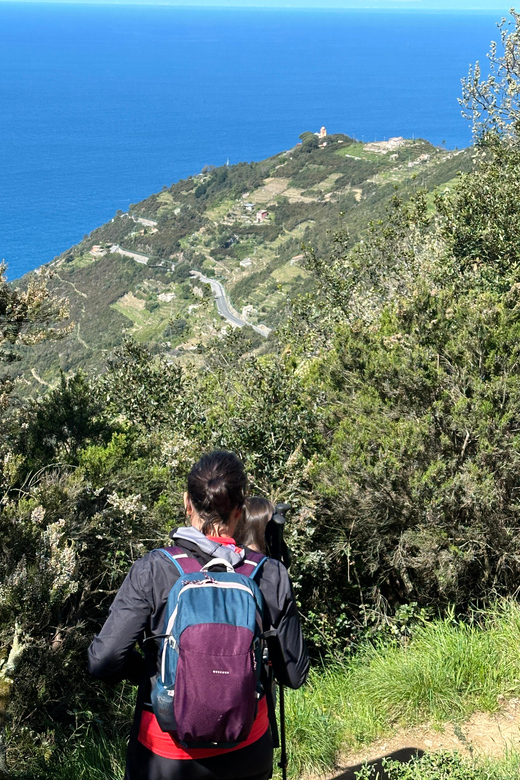 Hiking and Wine Tasting Experience - Booking and Payment Options