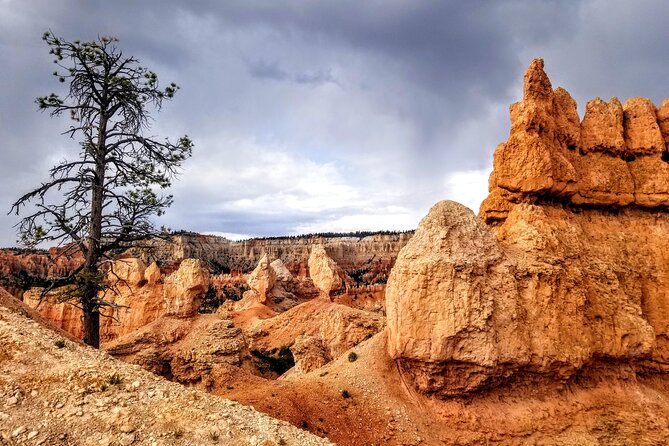 Hiking Experience in Bryce Canyon National Park - Tour Pricing and Options