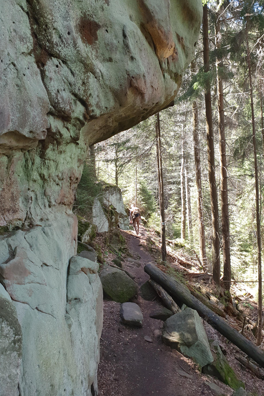 Hiking in the Land Born From the Sea - Whats Included in Your Hike