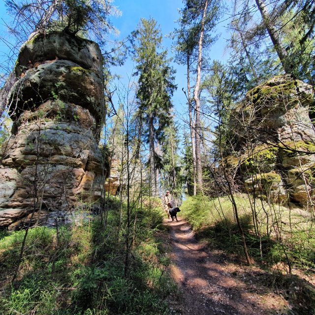 Hiking in the Table Mountais for Seniors - Booking and Cancellation Policy