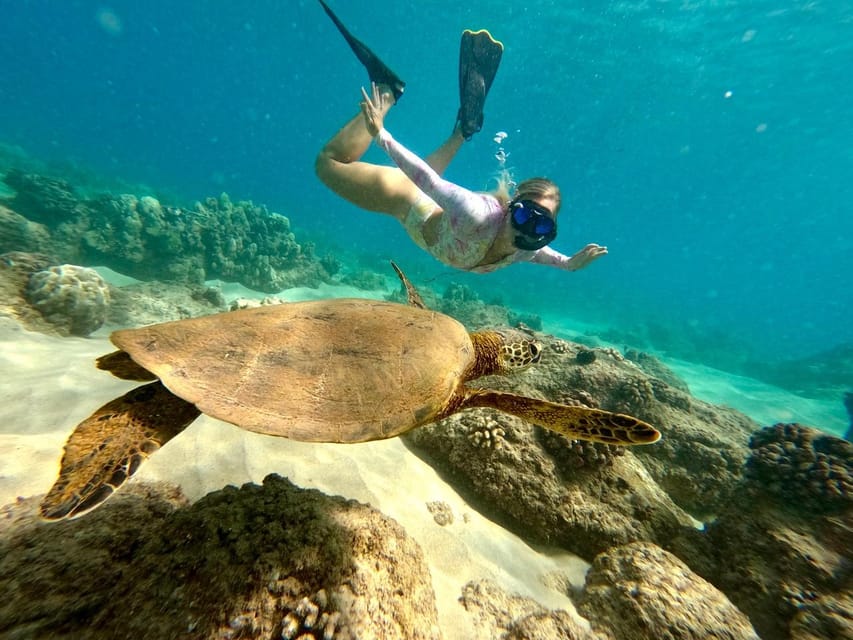 Hilo: Snorkeling With Turtles and Free Videos - Safety and Suitability