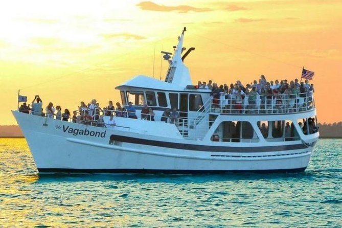 Hilton Head Island Dolphin Watching Nature Cruise - Customer Reviews