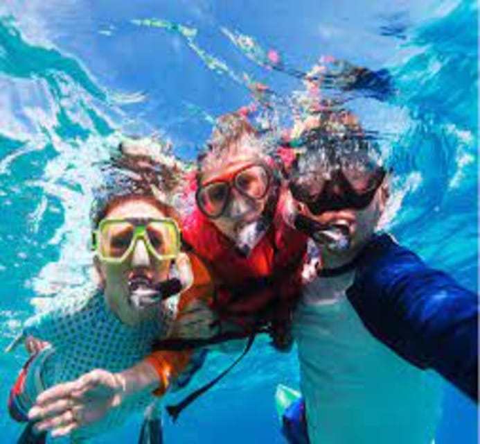 Hoi An: Cham Island Discover Scuba Dive for Beginner 1-Day - Essential Information