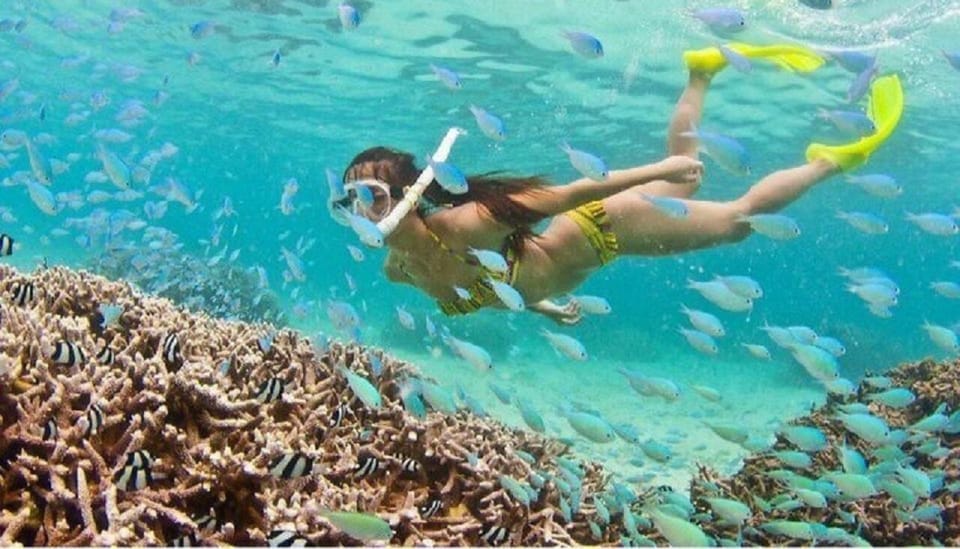 Hoi An: Cham Islands Snorkeling Trip by Speedboat With Lunch - Booking Process