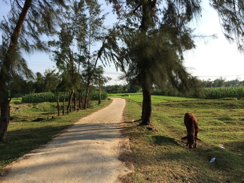 Hoi an Countryside Bike Tour to Kim Bong Village - Booking and Cancellation Policy