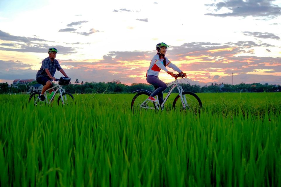 Hoi An: Countryside Biking and Kayak Guided Tour - Customer Feedback