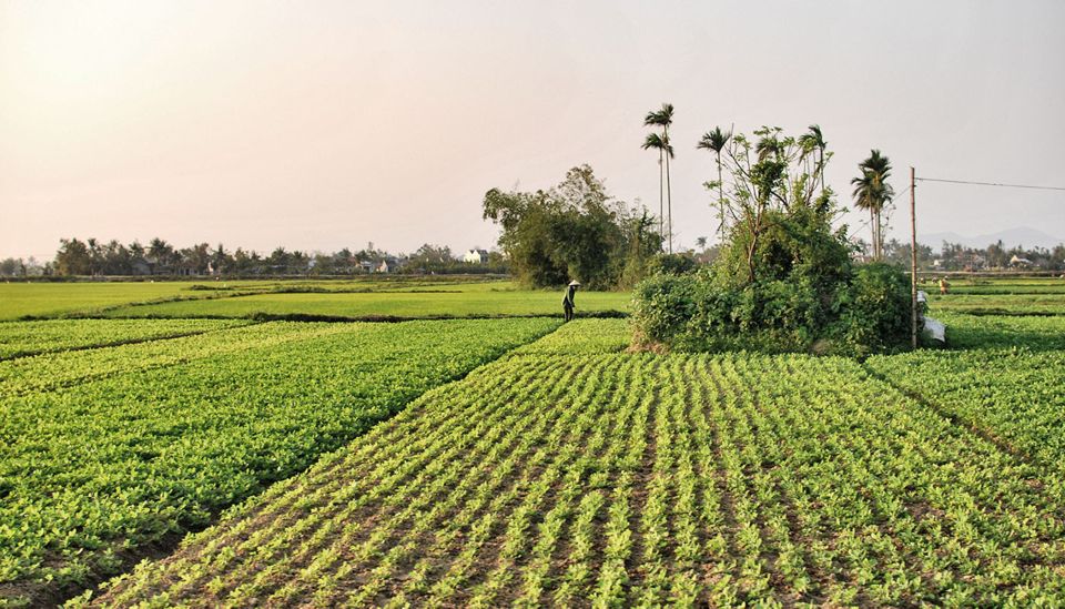 Hoi An Countryside by Electric Scooter - Inclusions and Additional Information