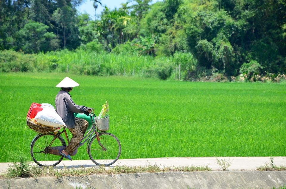 Hoi An: Cycling to My Son Sanctuary With Local Expert Guide - Local Interactions