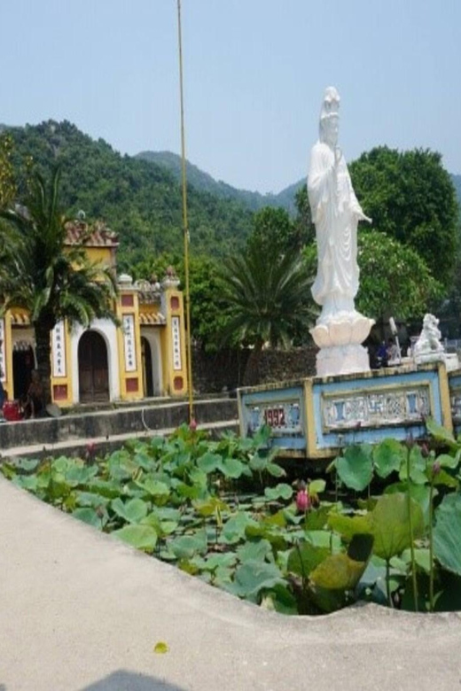 Hoi An/Da Nang: Cham Island Daily Tour With Snorkeling - Accessibility and Dietary Considerations