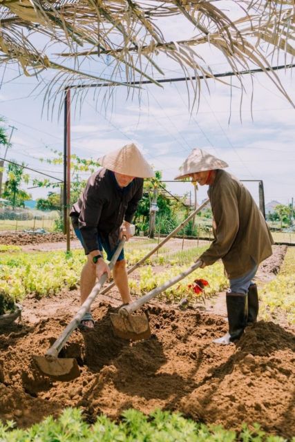 Hoi An: Farming & Fishing Life by Bike Private Tour - Preparation and Recommendations