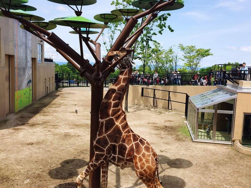 Hokkaido Asahiyama Zoo, Biei, Aoike, Elf Terrace Day Tour - Accessibility Features