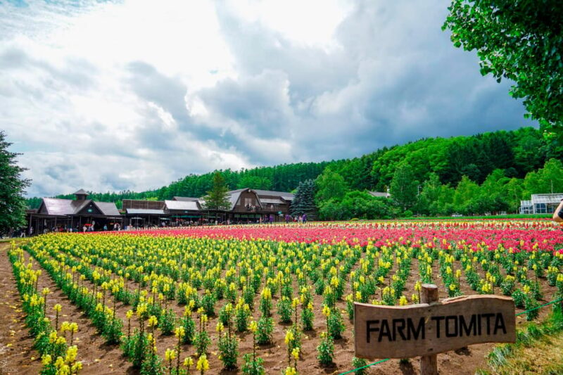 Hokkaido Biei Green Pond and Furano Flower Sea | Day Tour - Customer Feedback
