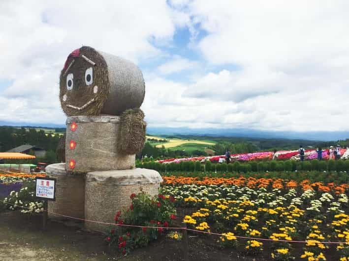 Hokkaido: Flower Sea, Pastoral, and Natural Scenery Day Tour - Customer Experience and Reviews