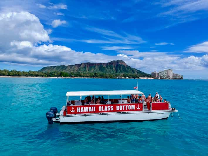 Honolulu: Glass Bottom Boat Tour Along Oahus South Shore - Potential Wildlife Sightings