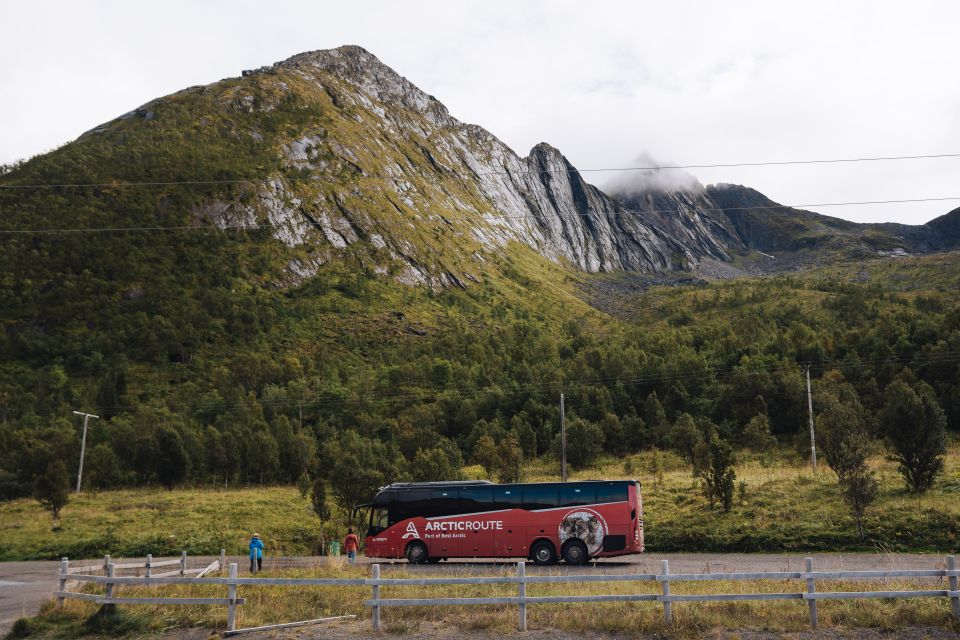 Hop-On/Hop-Off to 30 Places With the Arctic Route in Norway - Tips for a Smooth Journey