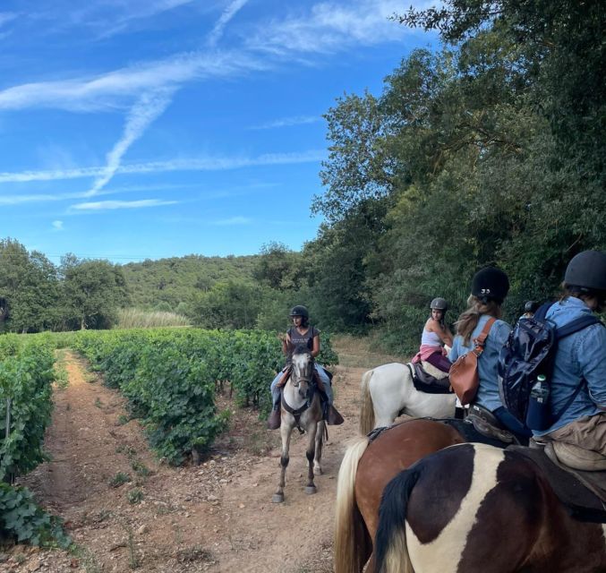 Horse Back Riding + Wine Tasting in the Maures Forest - Participant Requirements