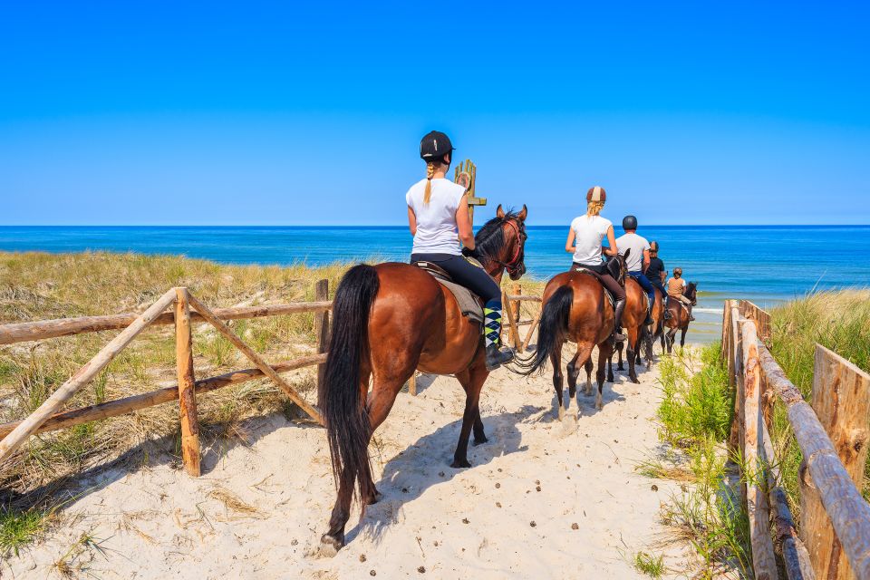 Horse Riding in Kusadasi - Age and Participation Guidelines