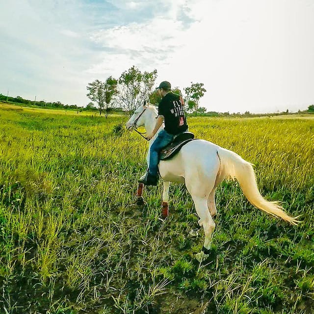 Horse Trail Riding Experience in Bangkok - Important Details