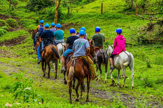 Horseback Riding at Volcano Foothills + La Fortuna Waterfall - Guest Reviews and Ratings