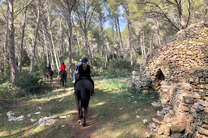 Horseback Riding in Cala Mitjana, Menorca, Spain - Suitability and Accessibility