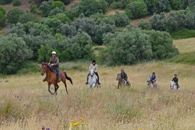 Horseback Riding In Lisbon - Arrábida - Louro Trail Mountain 5 - 6 Hours - Participant Requirements