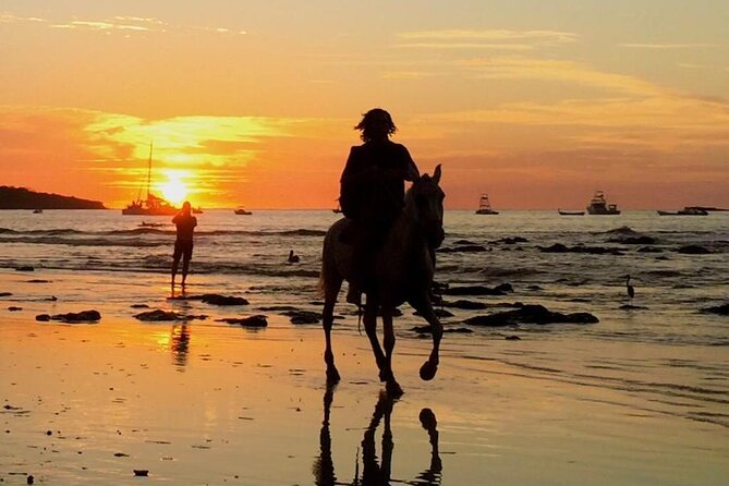 Horseback Riding in Tamarindo Beach - Accessibility and Family-Friendly
