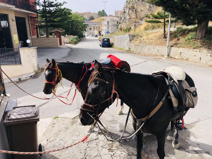 Horseback Riding in the Surroundings of Sciacca - Safety and Inclusions