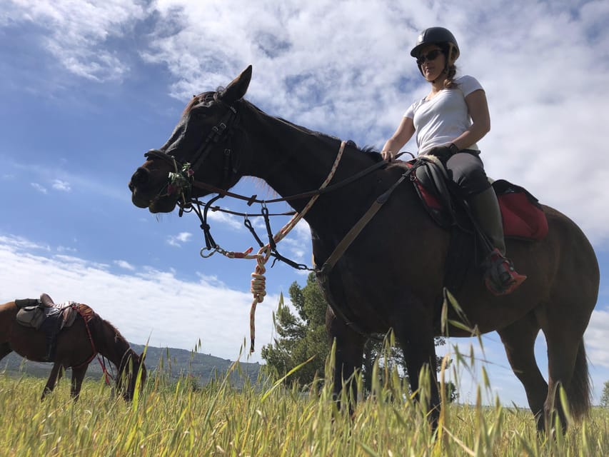 Horseback Riding Through the Olive Groves of Sciacca - What to Expect on the Trail