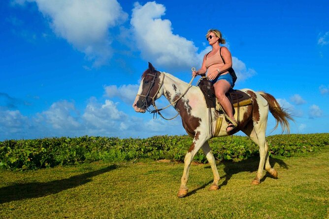 Horses, Water Cave, Coffee Test, Cigars, Punta Cana - Tips for Participants